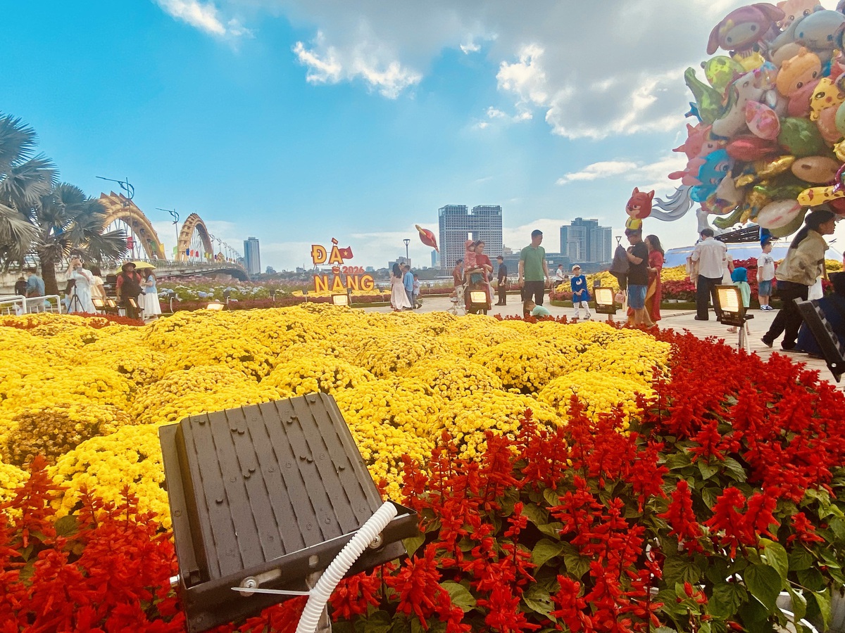 Du khách nô nức check-in linh vật ngựa tại đường hoa Tết Đà Nẵng- Ảnh 9. Du khách nô nức check-in linh vật ngựa tại đường hoa Tết Đà Nẵng- Ảnh 9.