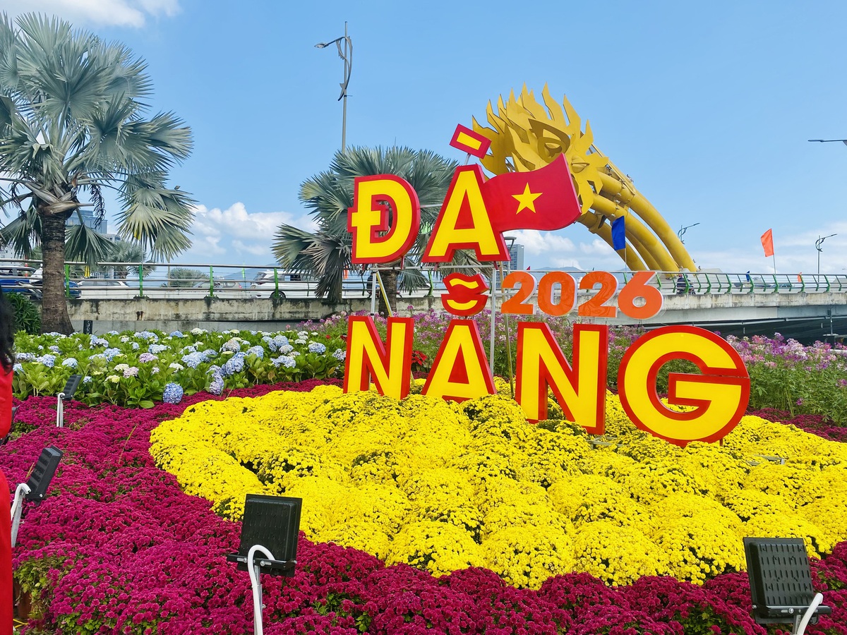 Du khách nô nức check-in linh vật ngựa tại đường hoa Tết Đà Nẵng- Ảnh 8. Du khách nô nức check-in linh vật ngựa tại đường hoa Tết Đà Nẵng- Ảnh 8.