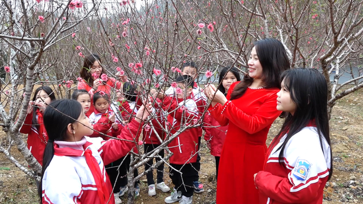 Rực rỡ “thủ phủ đào” xứ Lạng những ngày đầu xuân- Ảnh 8.