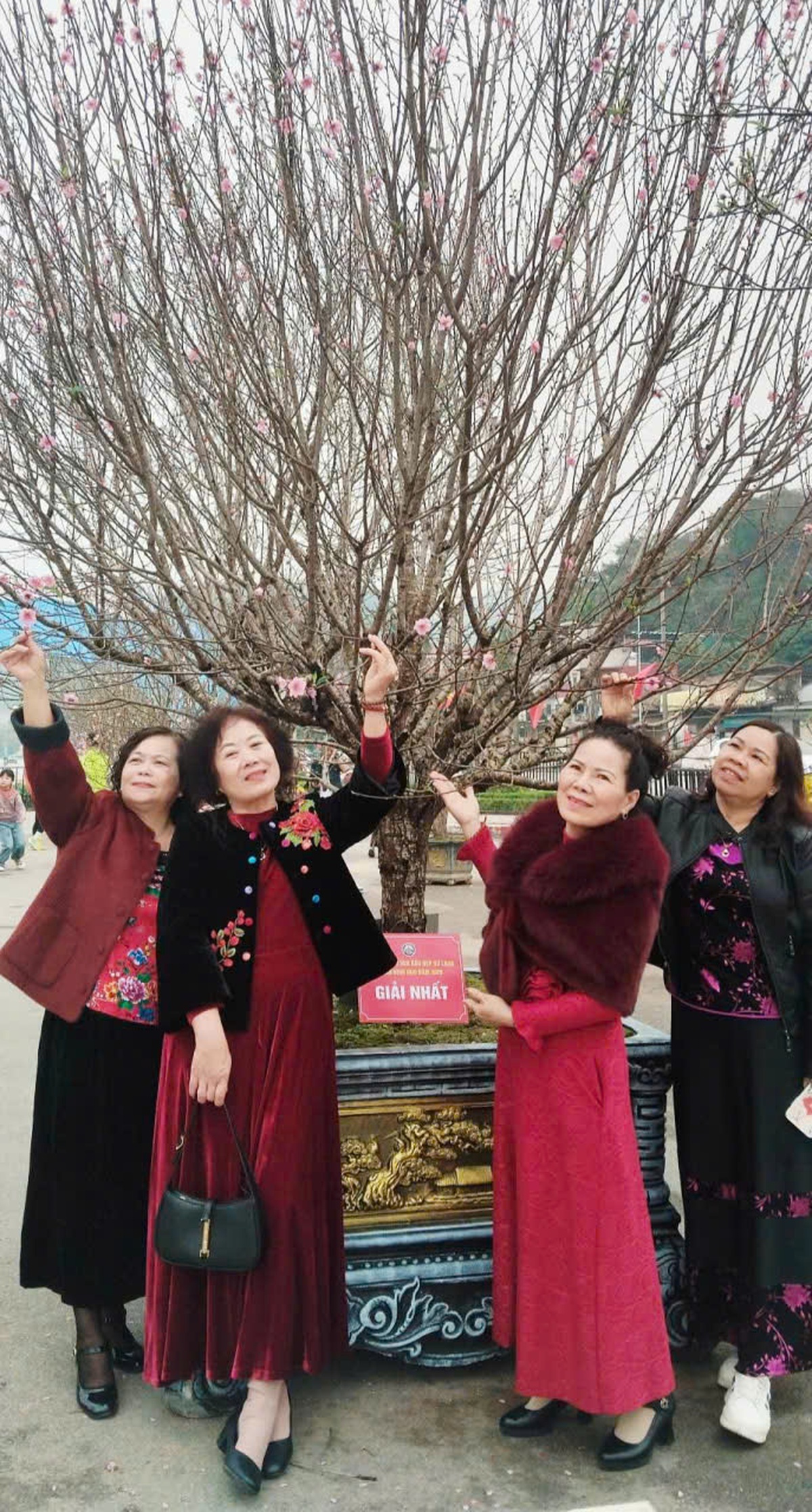 Rực rỡ “thủ phủ đào” xứ Lạng những ngày đầu xuân- Ảnh 5.