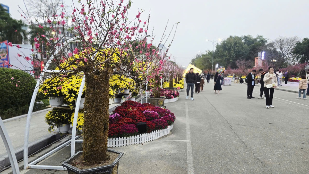 Rực rỡ “thủ phủ đào” xứ Lạng những ngày đầu xuân- Ảnh 1.