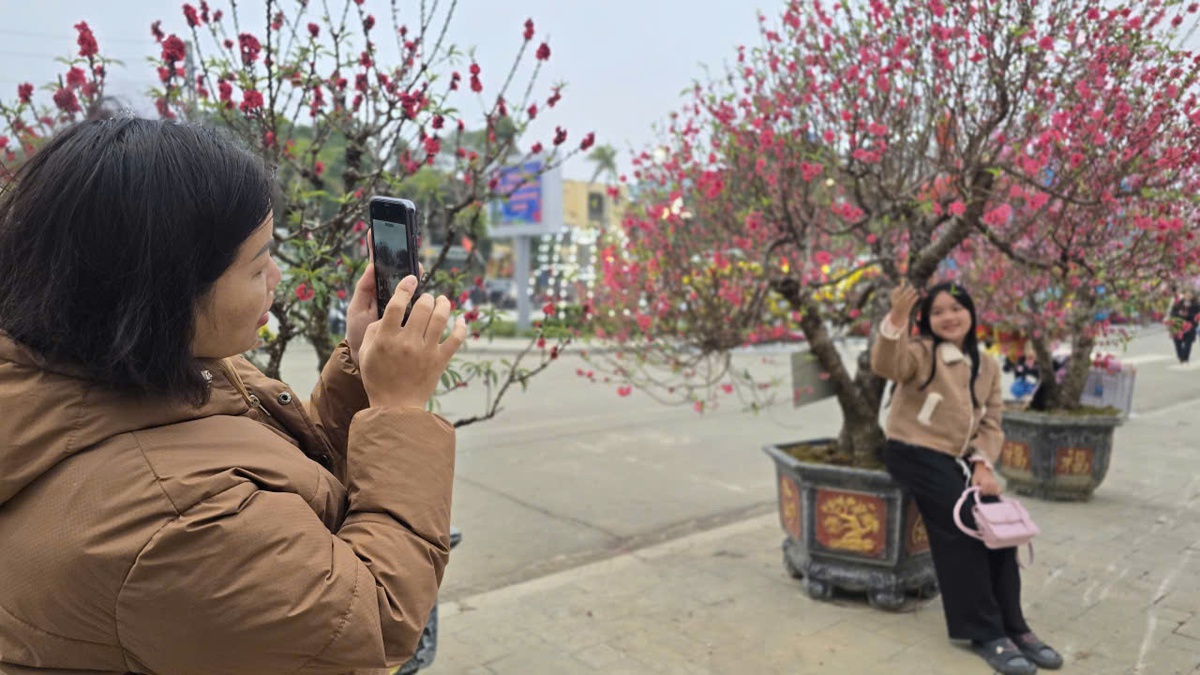 Rực rỡ “thủ phủ đào” xứ Lạng những ngày đầu xuân- Ảnh 7.