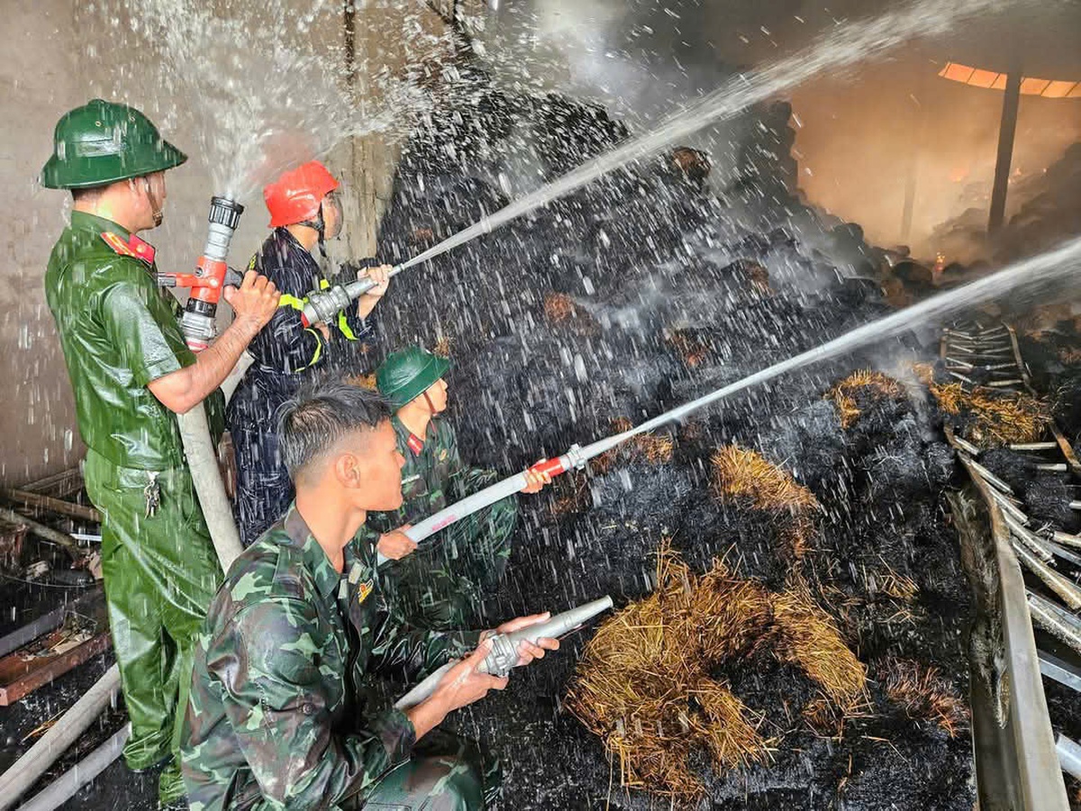 Điểm sáng dân vận ở vùng Tứ giác Long Xuyên - Ảnh 2.