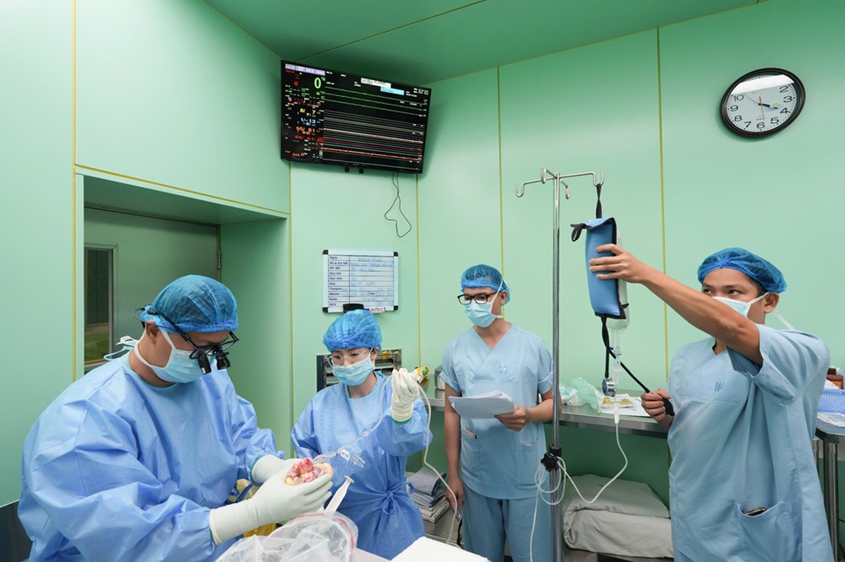 Trái tim từ Bắc vào Nam hồi sinh sự sống cho bệnh nhi- Ảnh 3.