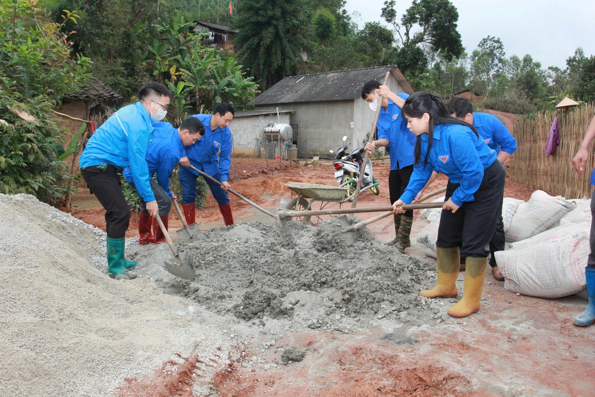 Lạng Sơn: Khởi động "Tháng thanh niên" 2026 và hưởng ứng Tết trồng cây xuân Bính Ngọ- Ảnh 7.