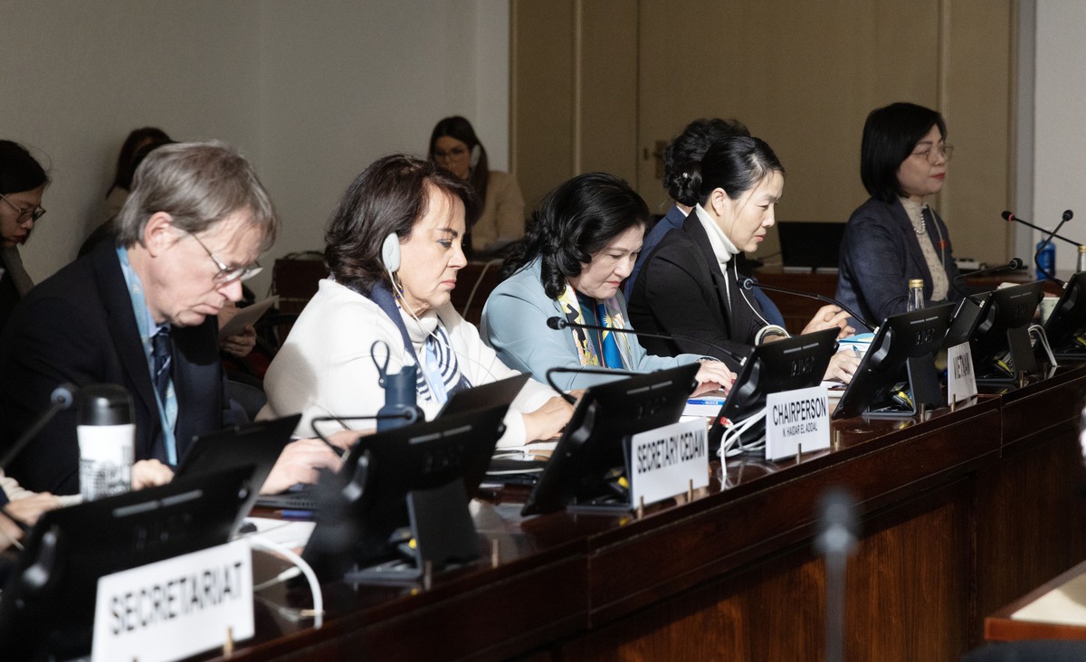 Việt Nam khẳng định nỗ lực vì bình đẳng giới tại diễn đàn Liên hợp quốc- Ảnh 1.