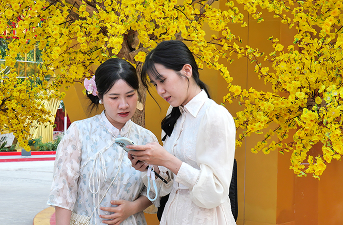 TPHCM: Phố ông đồ và Đường mai rực rỡ đón xuân Bính Ngọ- Ảnh 1.