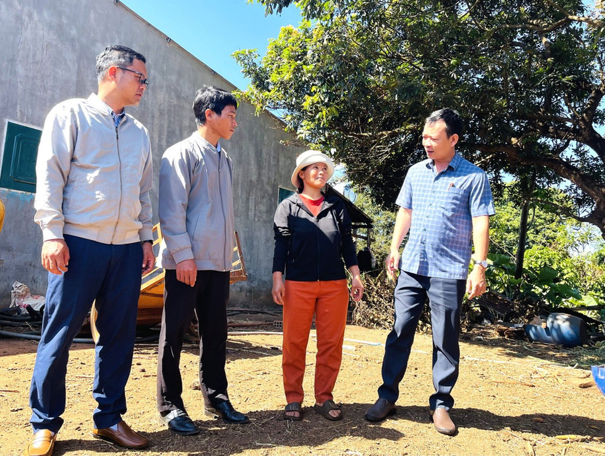 Gia Lai: Công tác giảm nghèo bền vững là nhiệm vụ chính trị của các cấp ủy Đảng- Ảnh 1.