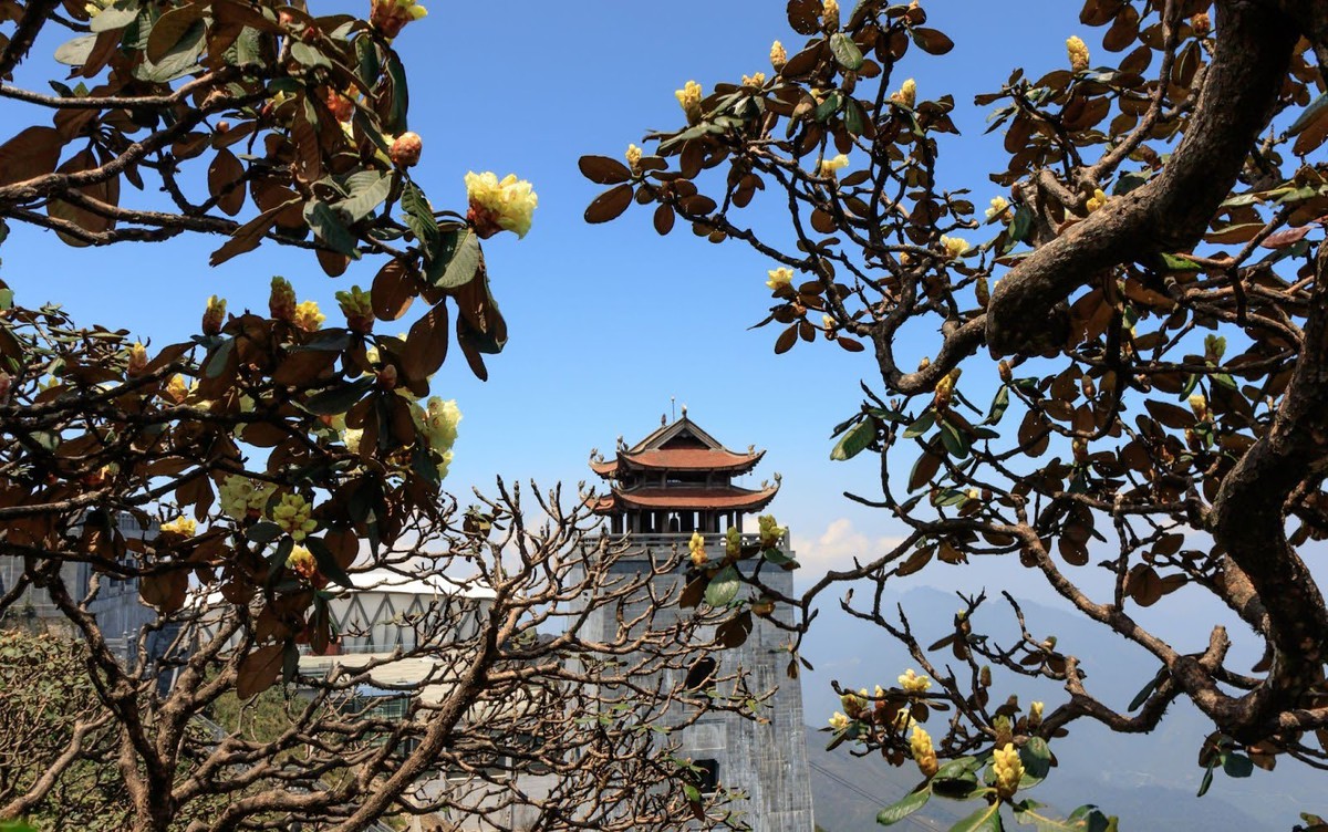 Cáp treo Fansipan - một thập kỷ đưa du lịch Sa Pa vươn tầm thế giới- Ảnh 2.