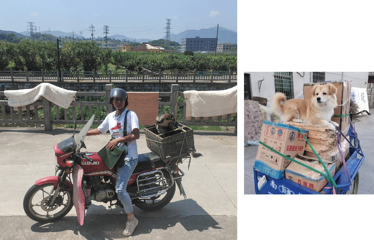 Người phụ nữ bán hàng xén và những trang văn "trục vớt" đời mình- Ảnh 7.