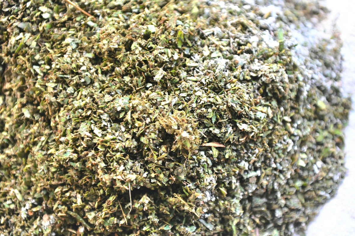 Độc đáo hương vị núi rừng trong bánh men lá đón Tết của đồng bào vùng cao- Ảnh 5.