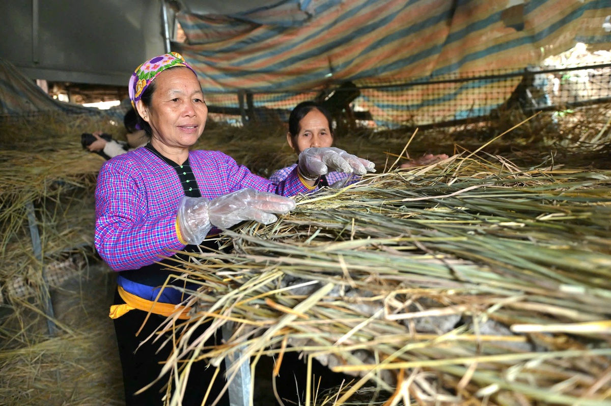 Độc đáo hương vị núi rừng trong bánh men lá đón Tết của đồng bào vùng cao- Ảnh 9.