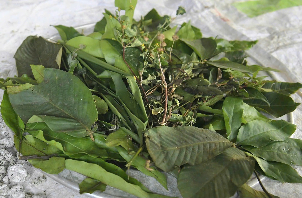 Độc đáo hương vị núi rừng trong bánh men lá đón Tết của đồng bào vùng cao- Ảnh 4.