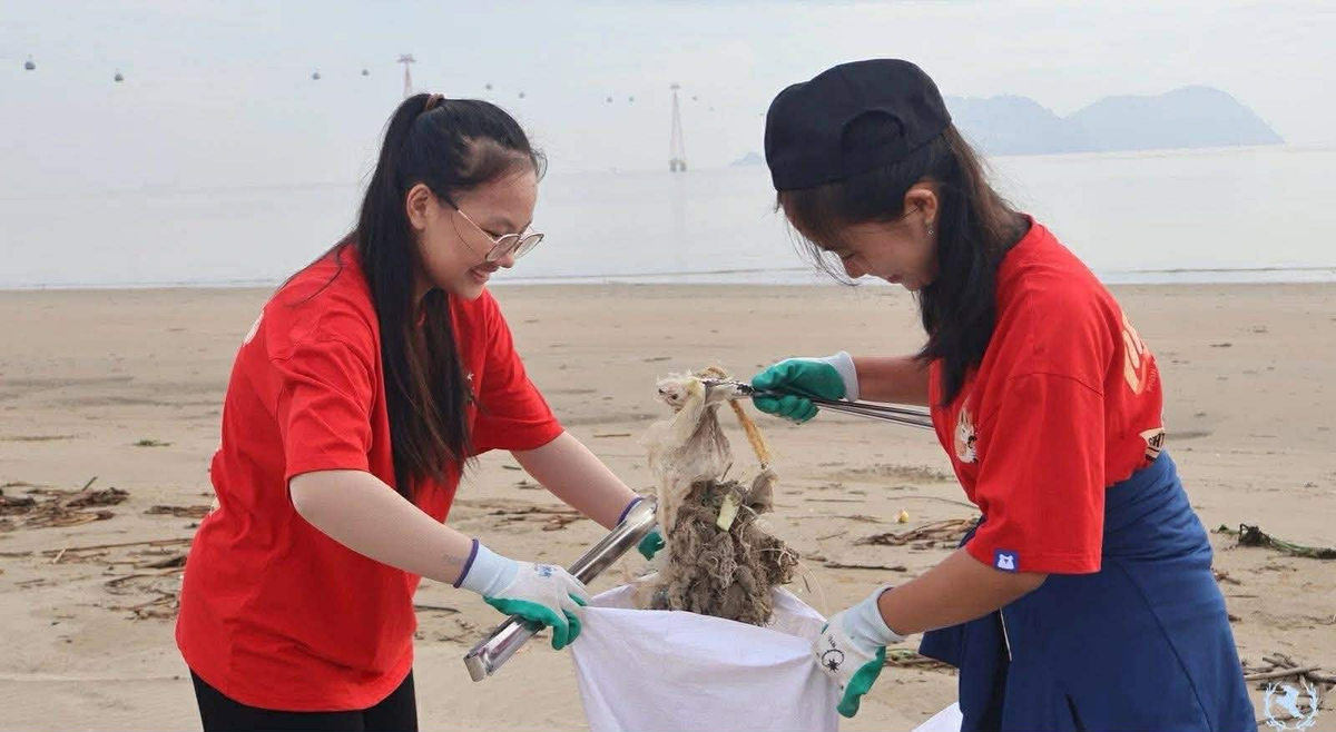 Người trẻ 3 tỉnh miền Trung chung tay làm sạch đường bờ biển- Ảnh 1.