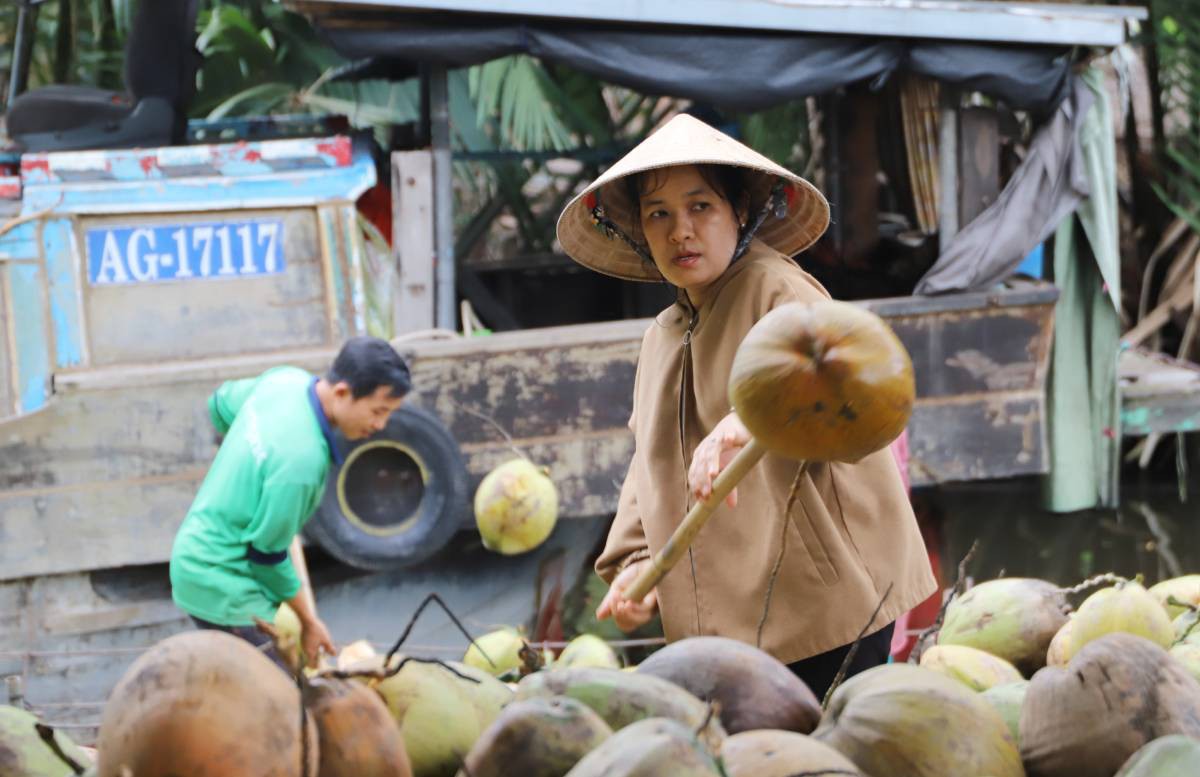 Nhọc nhằn nghề lột vỏ dừa của phụ nữ Vĩnh Long- Ảnh 2.