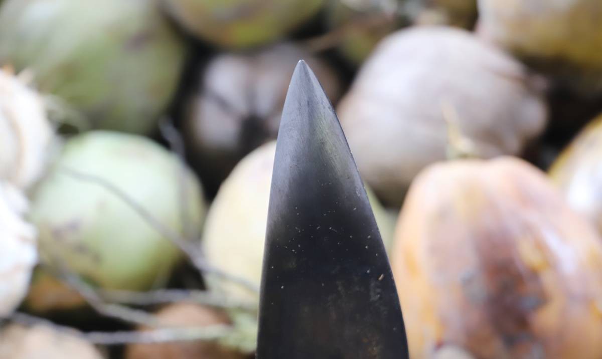 Nhọc nhằn nghề lột vỏ dừa của phụ nữ Vĩnh Long- Ảnh 4.