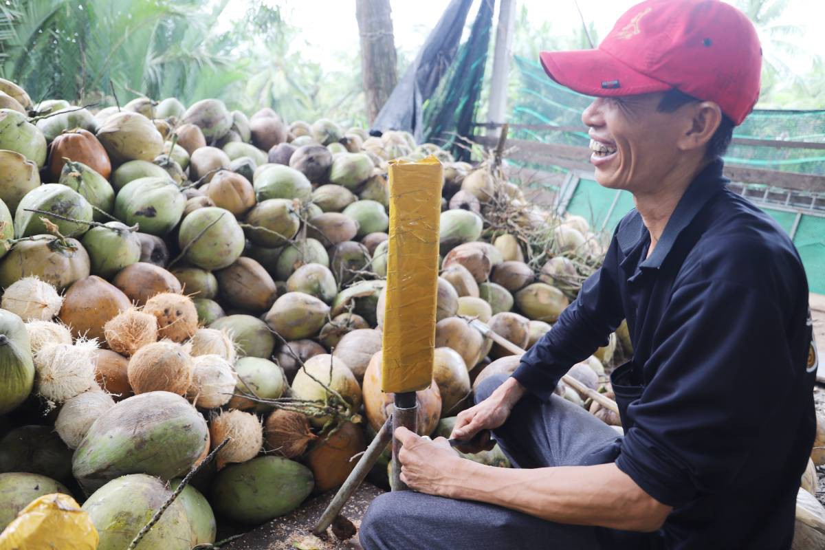 Nhọc nhằn nghề lột vỏ dừa của phụ nữ Vĩnh Long- Ảnh 3.