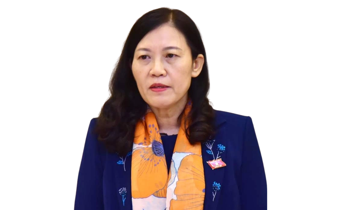 Các nữ Ủy viên Bộ Chính trị, Bí thư TƯ Đảng, Ủy viên TƯ Đảng ứng cử đại biểu Quốc hội khóa XVI- Ảnh 7.