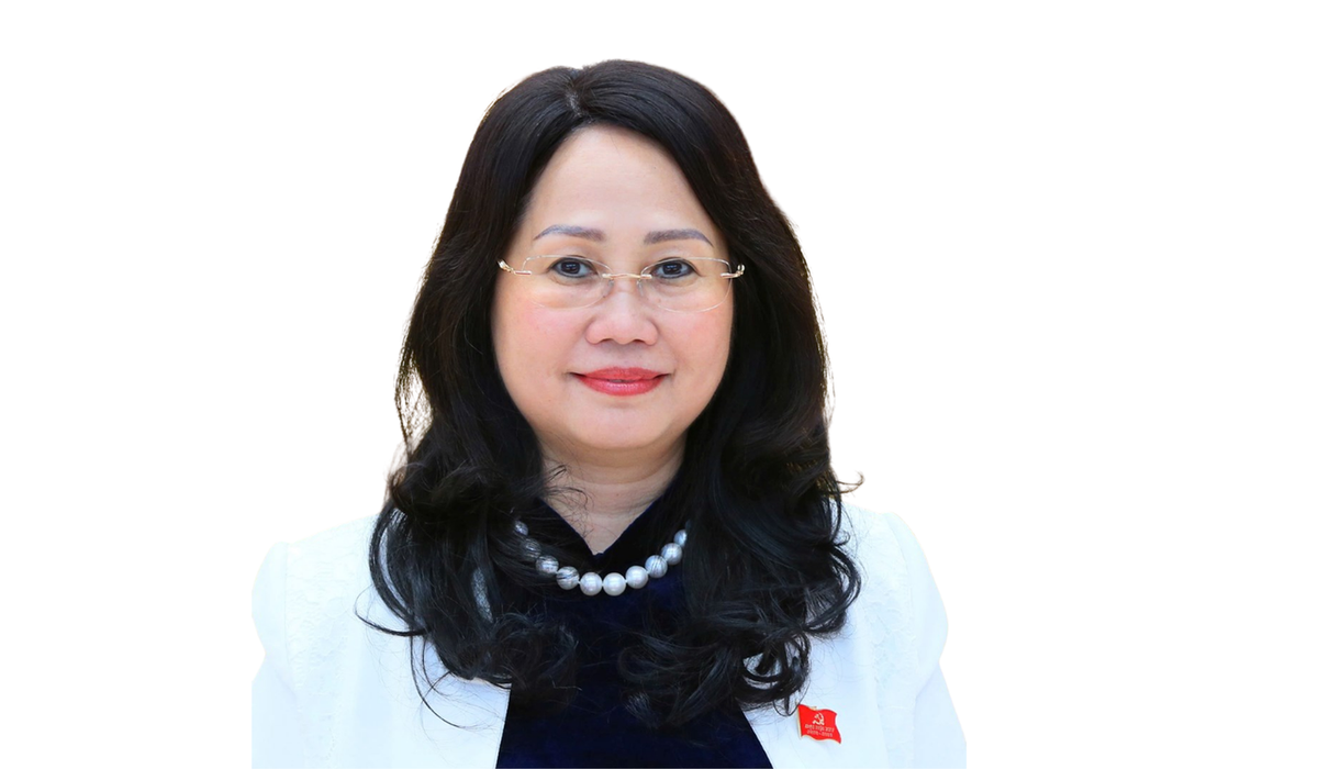 Các nữ Ủy viên Bộ Chính trị, Bí thư TƯ Đảng, Ủy viên TƯ Đảng ứng cử đại biểu Quốc hội khóa XVI- Ảnh 11.