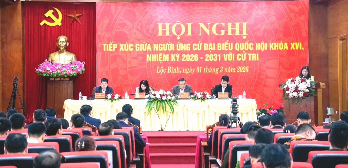 Ứng cử viên đại biểu Quốc hội khóa XVI tiếp xúc cử tri tỉnh Lạng Sơn- Ảnh 4.