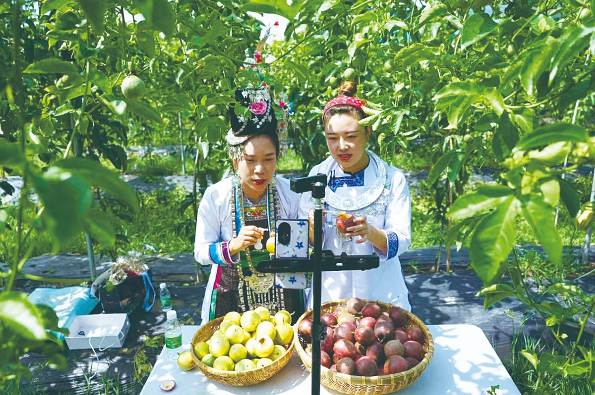 1+1+1: Mô hình sinh kế gia đình thúc đẩy bình đẳng giới- Ảnh 2.