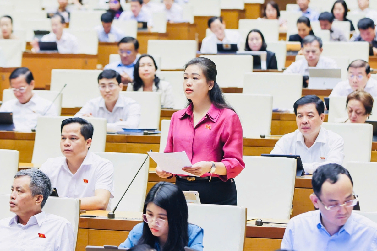 Chương trình hành động của Chủ tịch Hội LHPN tỉnh Cao Bằng ứng cử đại biểu Quốc hội khóa XVI- Ảnh 2.