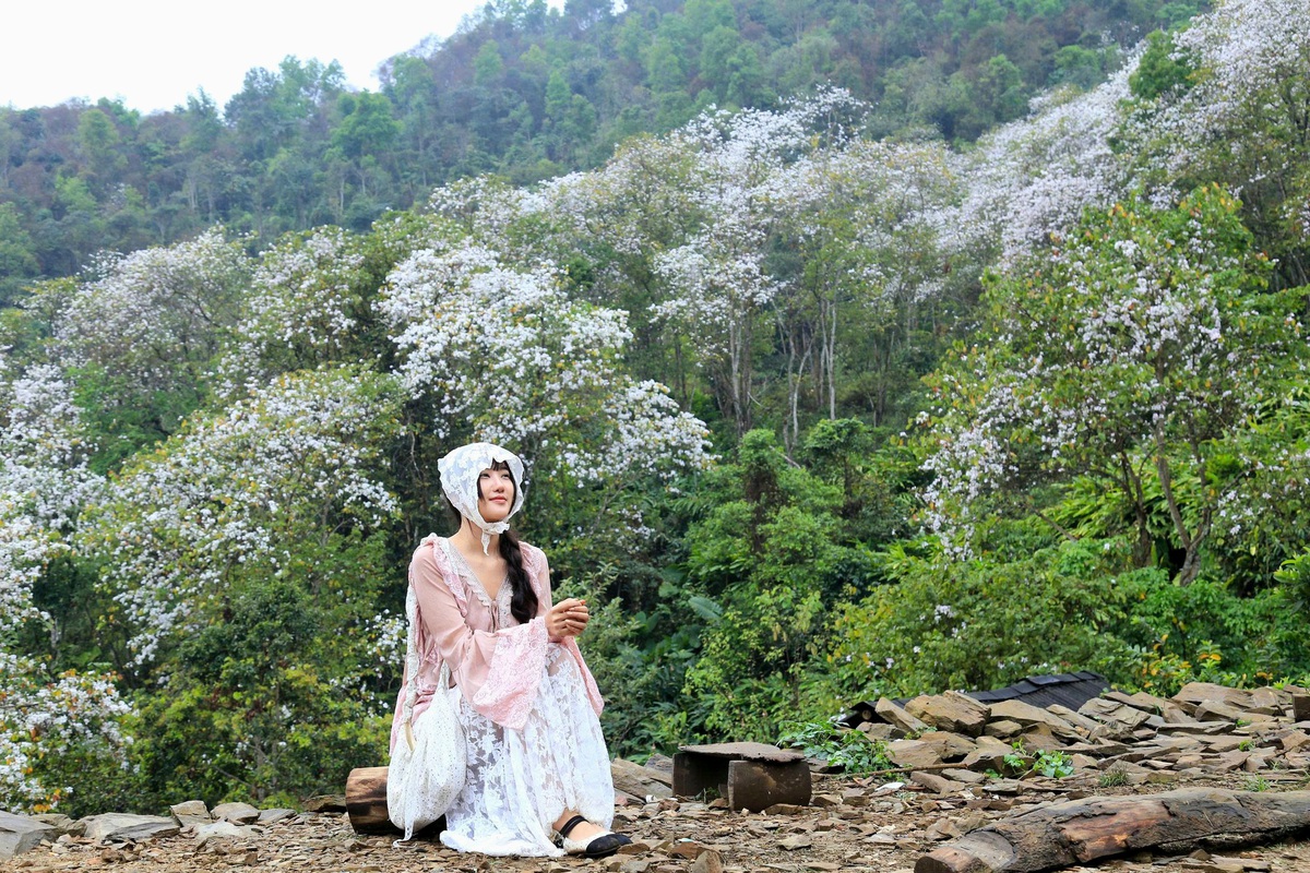 Điện Biên: Rừng ban cổ thụ bung nở hút giới trẻ đến "săn" ảnh- Ảnh 6. Điện Biên: Rừng ban cổ thụ bung nở hút giới trẻ đến "săn" ảnh- Ảnh 6.