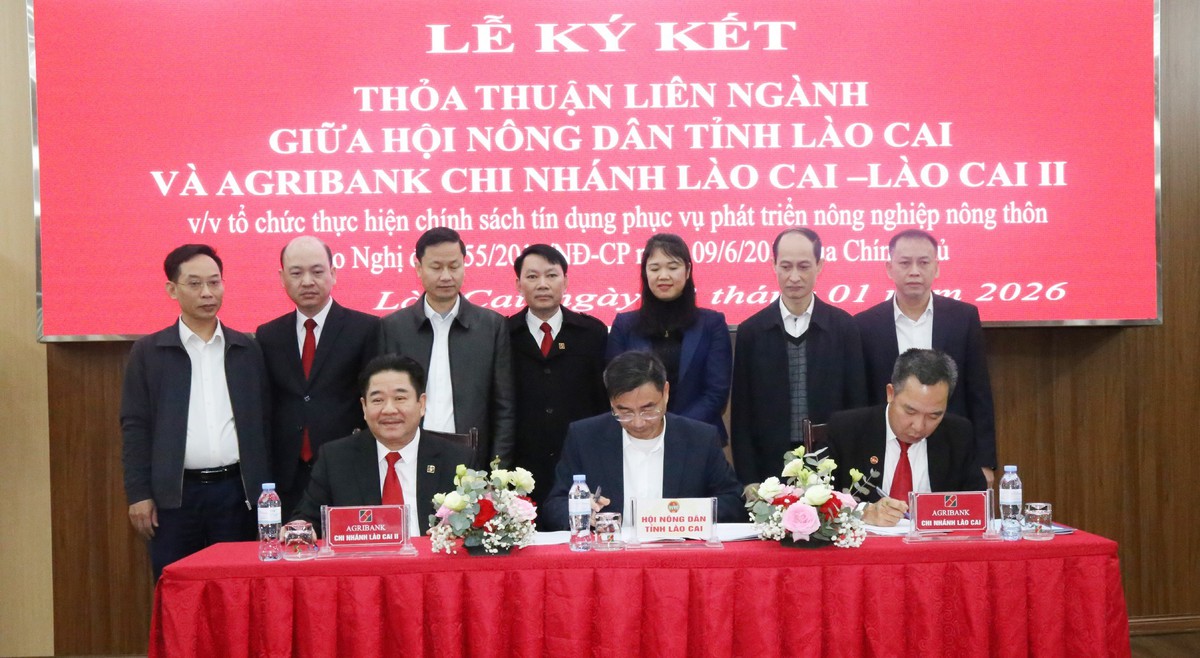 Tổ vay vốn - “cánh tay nối dài” đưa tín dụng Agribank đến với nông dân- Ảnh 3.