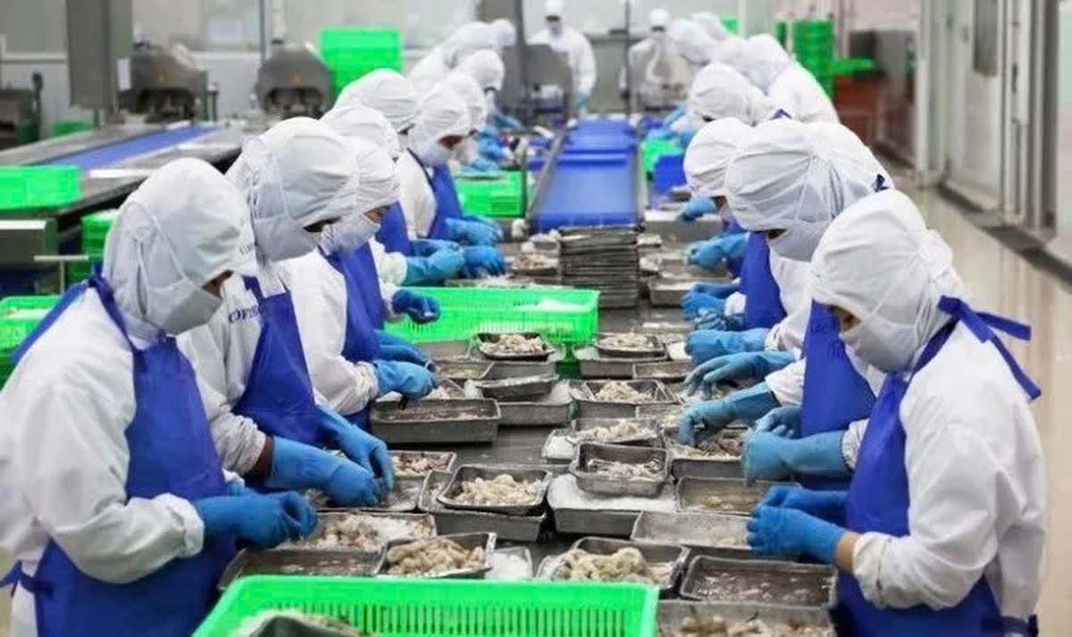 Phải tạm dừng xuất khẩu sang Trung Đông, doanh nghiệp thuỷ sản đề nghị gì lên Bộ Công Thương?- Ảnh 2.