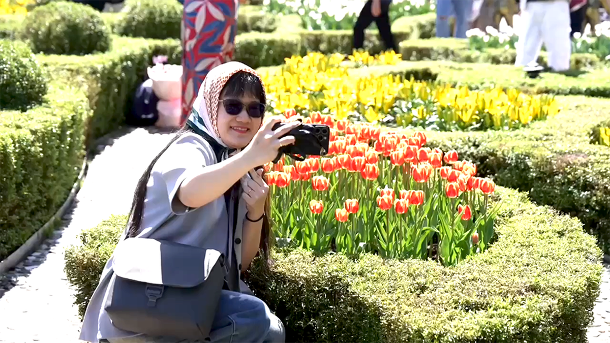 "Lạc bước"  giữa rừng hoa tulip chốn ở Bà Nà Hills- Ảnh 2.