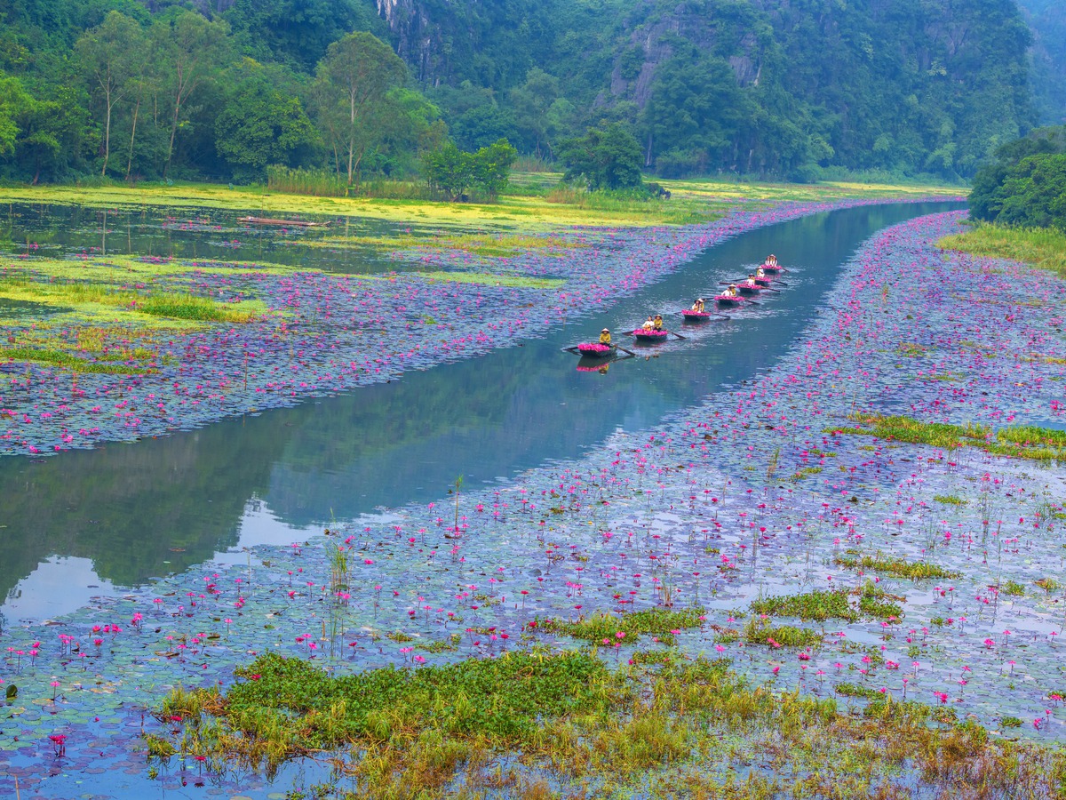 Việt Nam vào top 28 quốc gia đẹp nhất thế giới: Vẻ đẹp của một dải đất đa sắc- Ảnh 2. Việt Nam vào top 28 quốc gia đẹp nhất thế giới: Vẻ đẹp của một dải đất đa sắc- Ảnh 2.