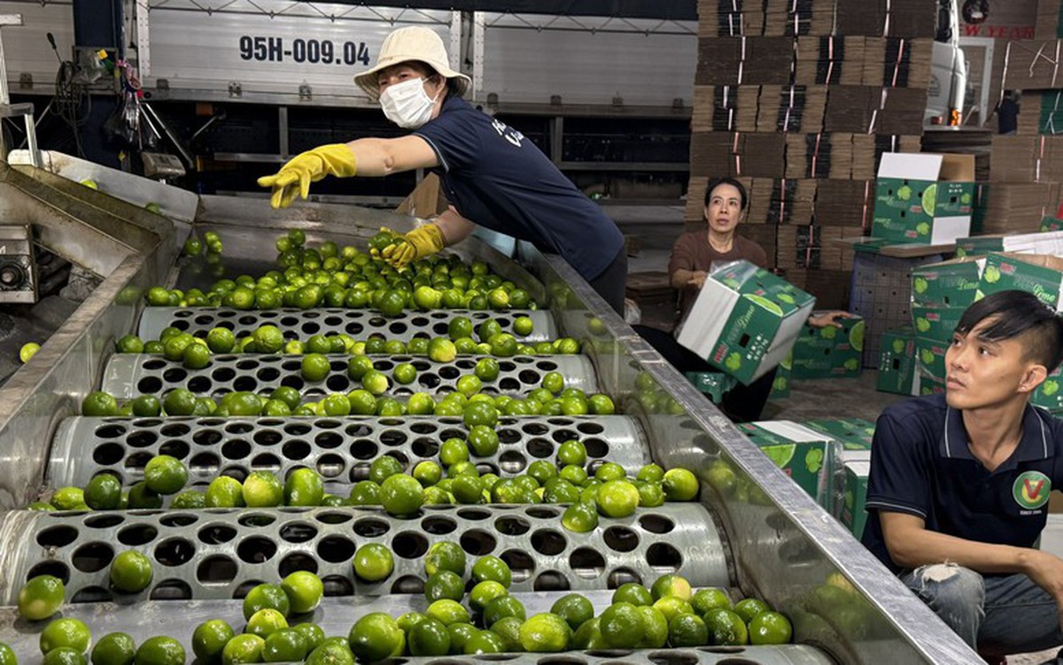 Thủ tướng chỉ đạo đẩy mạnh các nhiệm vụ, giải pháp để tiếp tục thúc đẩy xuất khẩu năm 2026- Ảnh 1.