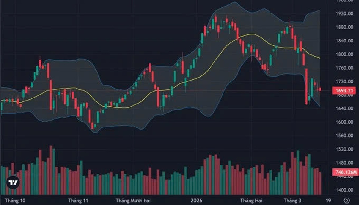 VN-Index rung lắc quanh 1.690 điểm, cổ phiếu nào đồng loạt giảm sâu?- Ảnh 1.