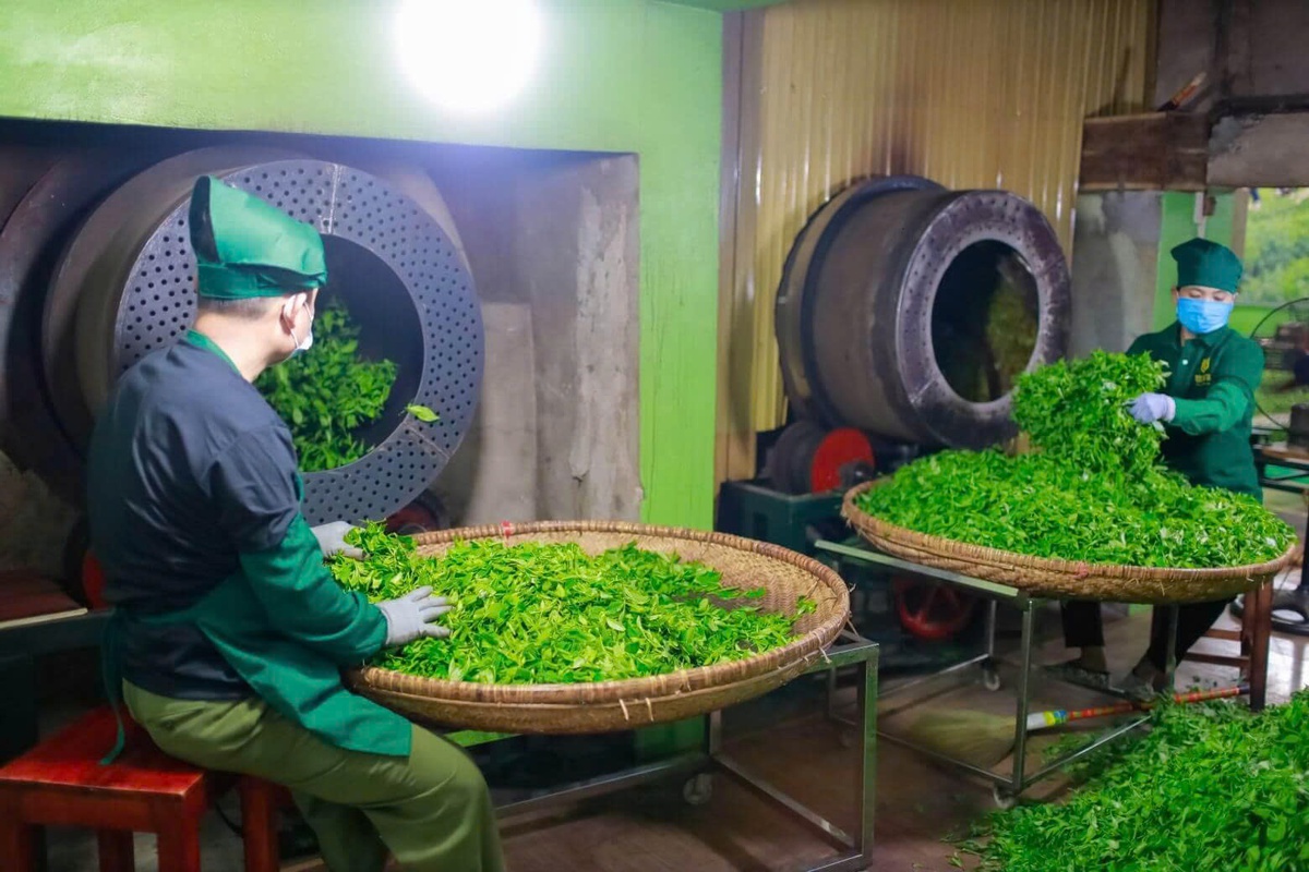 Nguy cơ “sốc chuỗi cung ứng” với nông sản Việt Nam bởi chiến sự tại Trung Đông- Ảnh 3. Nguy cơ “sốc chuỗi cung ứng” với nông sản Việt Nam bởi chiến sự tại Trung Đông- Ảnh 3.