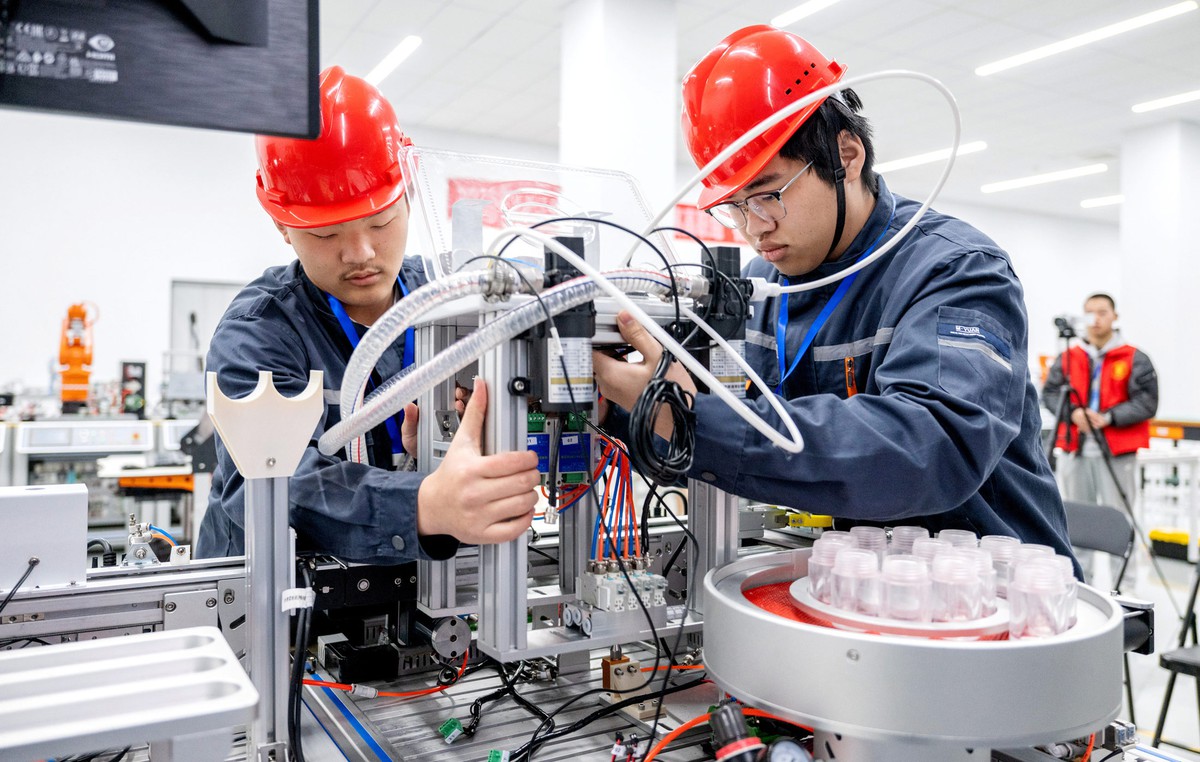 Chọn bằng cử nhân hay chứng chỉ nghề?- Ảnh 3.