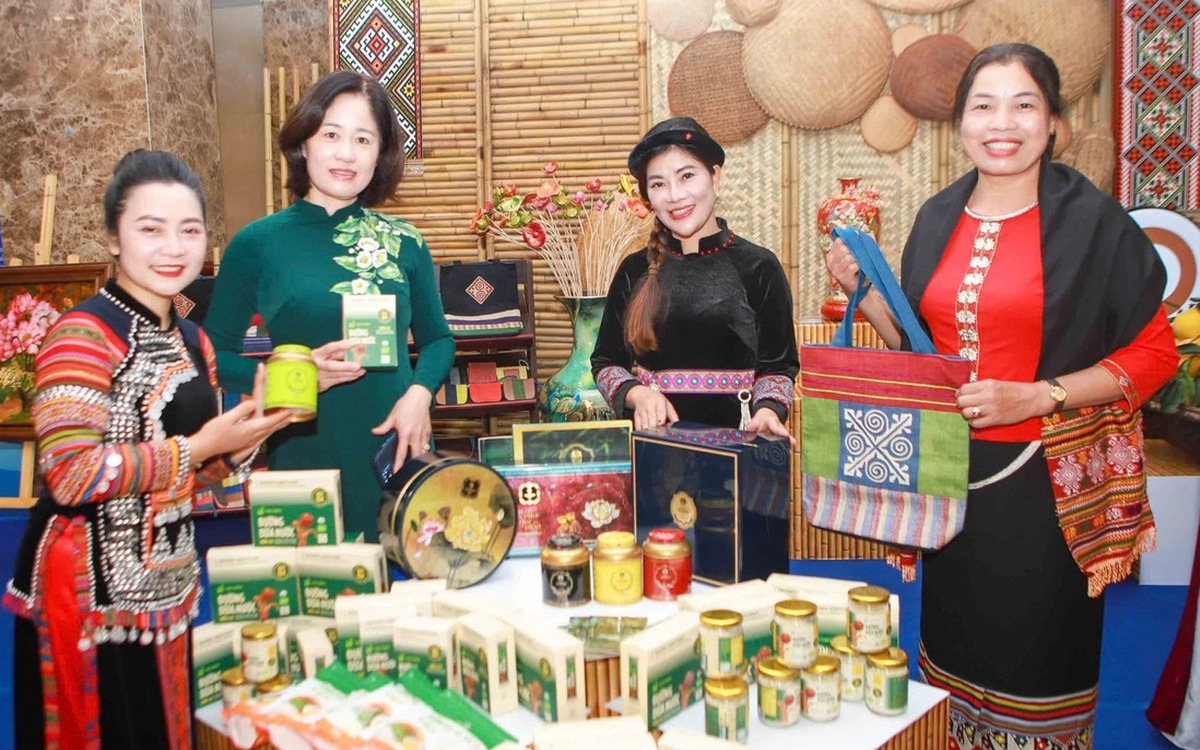 Sắp diễn ra Hội nghị tập huấn "Tư vấn, hỗ trợ pháp lý cho phụ nữ khởi nghiệp, phát triển kinh doanh"- Ảnh 1.