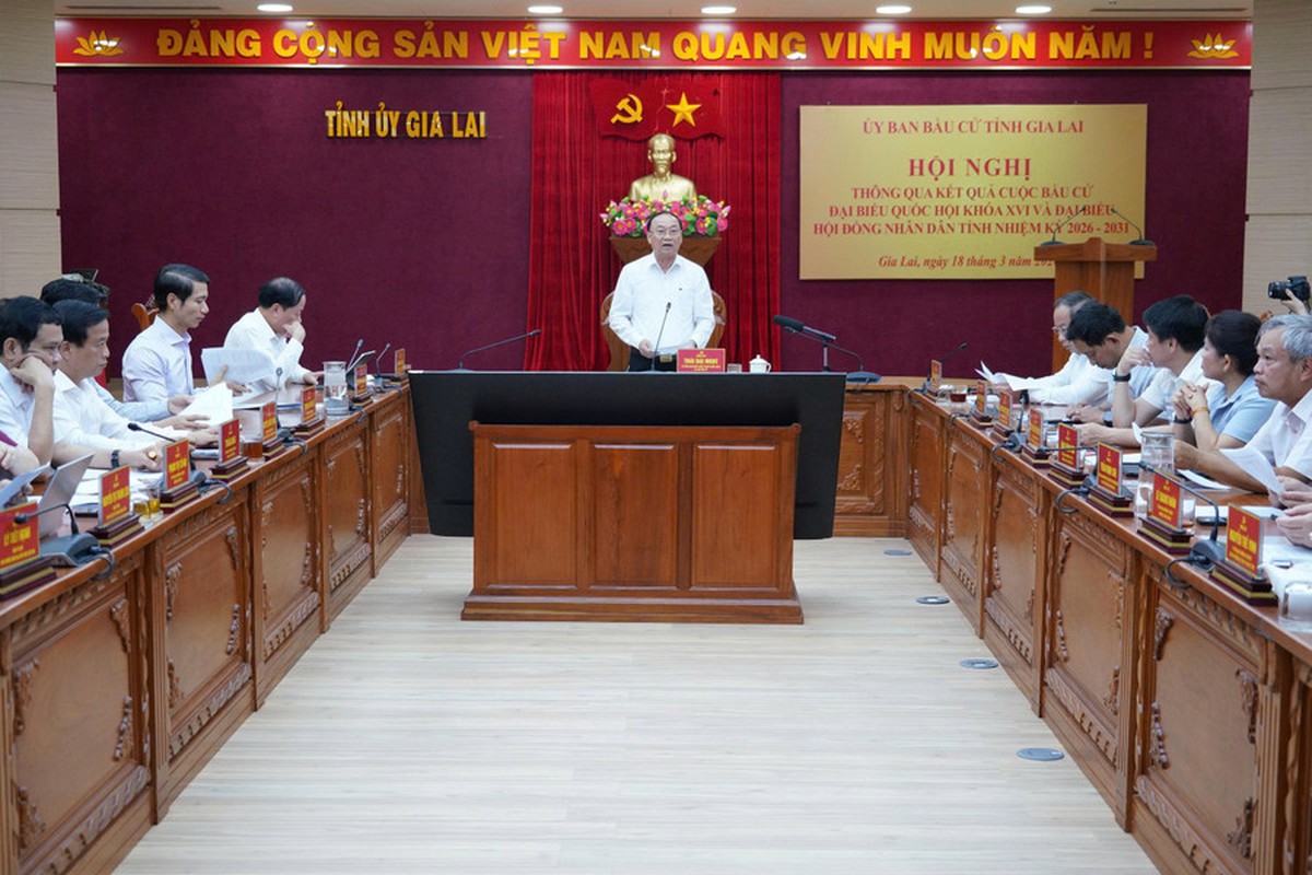 Gia Lai thông qua kết quả bầu cử Đại biểu Quốc hội khóa XVI và đại biểu HĐND tỉnh- Ảnh 2.