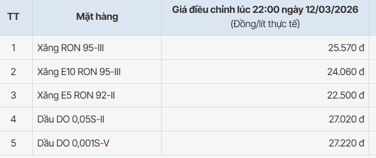 Xăng tăng giá, ngày càng nhiều người dân đô thị chuyển sang xe máy điện- Ảnh 1.