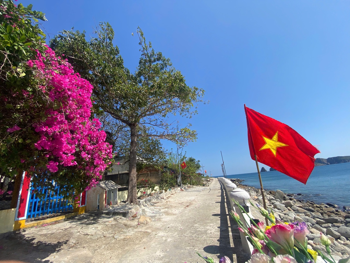 Người dân đảo Bích Đầm đợi điện, đợi đò và đợi... cơ hội đổi đời- Ảnh 2.