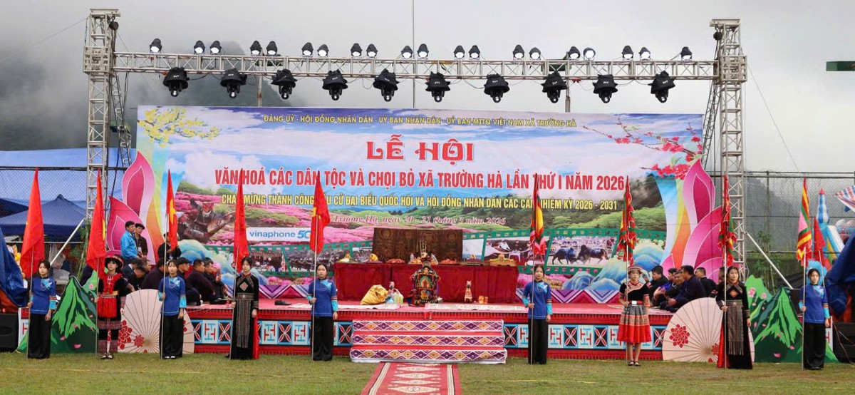 Sôi nổi lễ hội chọi bò ở miền núi Cao Bằng- Ảnh 1.