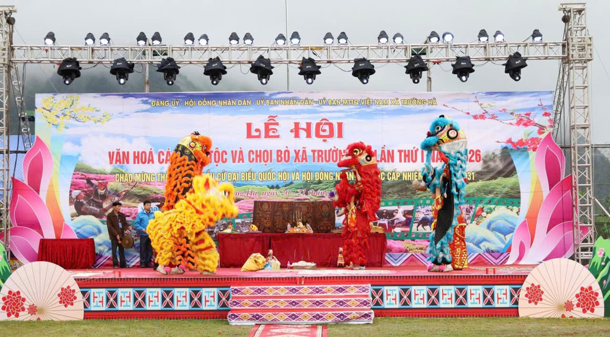 Sôi nổi lễ hội chọi bò ở miền núi Cao Bằng- Ảnh 11.