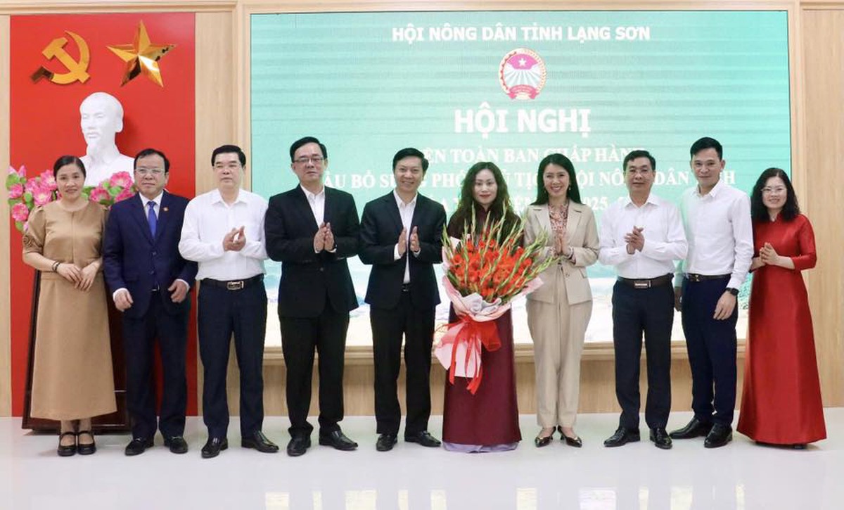 Bà Dương Thị Hoan làm Phó Chủ tịch Hội Nông dân tỉnh Lạng Sơn- Ảnh 2.