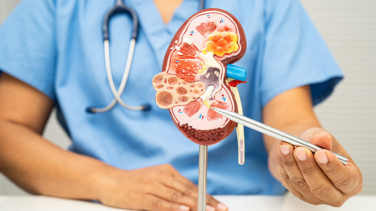 Khó ngủ, khó tập trung có thể là biểu hiện suy thận ở người trẻ- Ảnh 1.