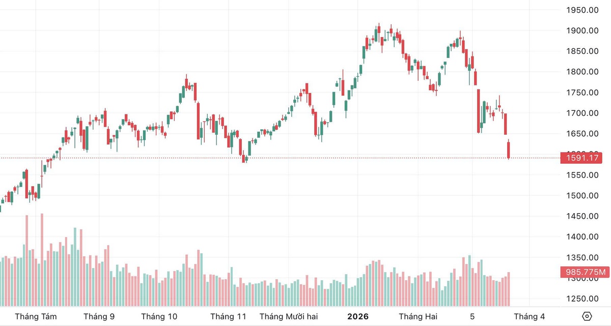 VN-Index “gãy” mốc 1.600 điểm: Làn sóng bán tháo nhấn chìm thị trường- Ảnh 1.