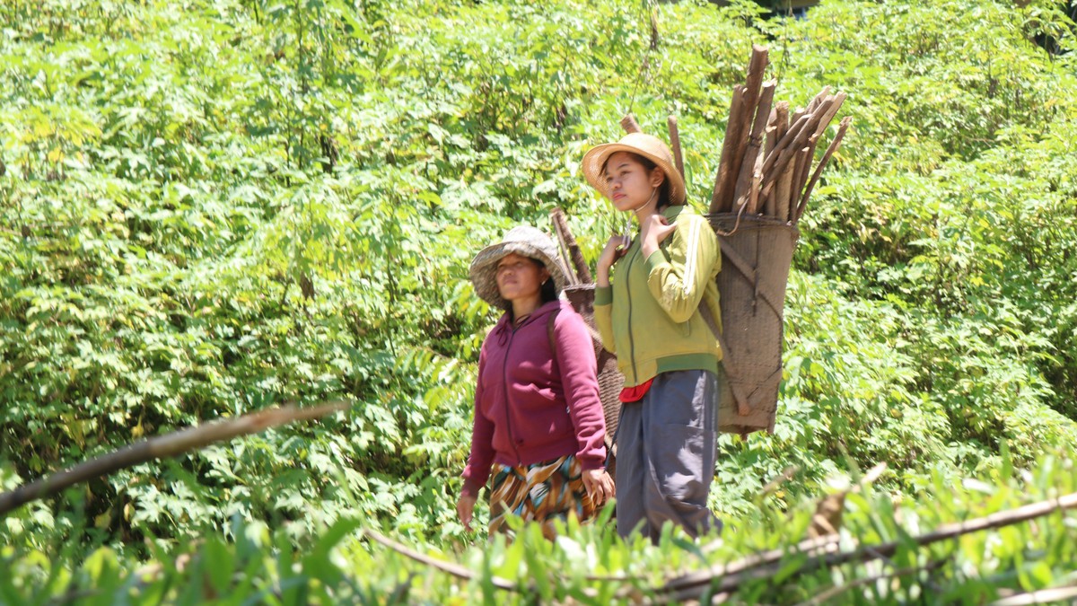 "Giữ lửa" tuổi trẻ vùng cao: Bài cuối - Trăn trở giữ chân nữ thanh niên- Ảnh 5. "Giữ lửa" tuổi trẻ vùng cao: Bài cuối - Trăn trở giữ chân nữ thanh niên- Ảnh 5.