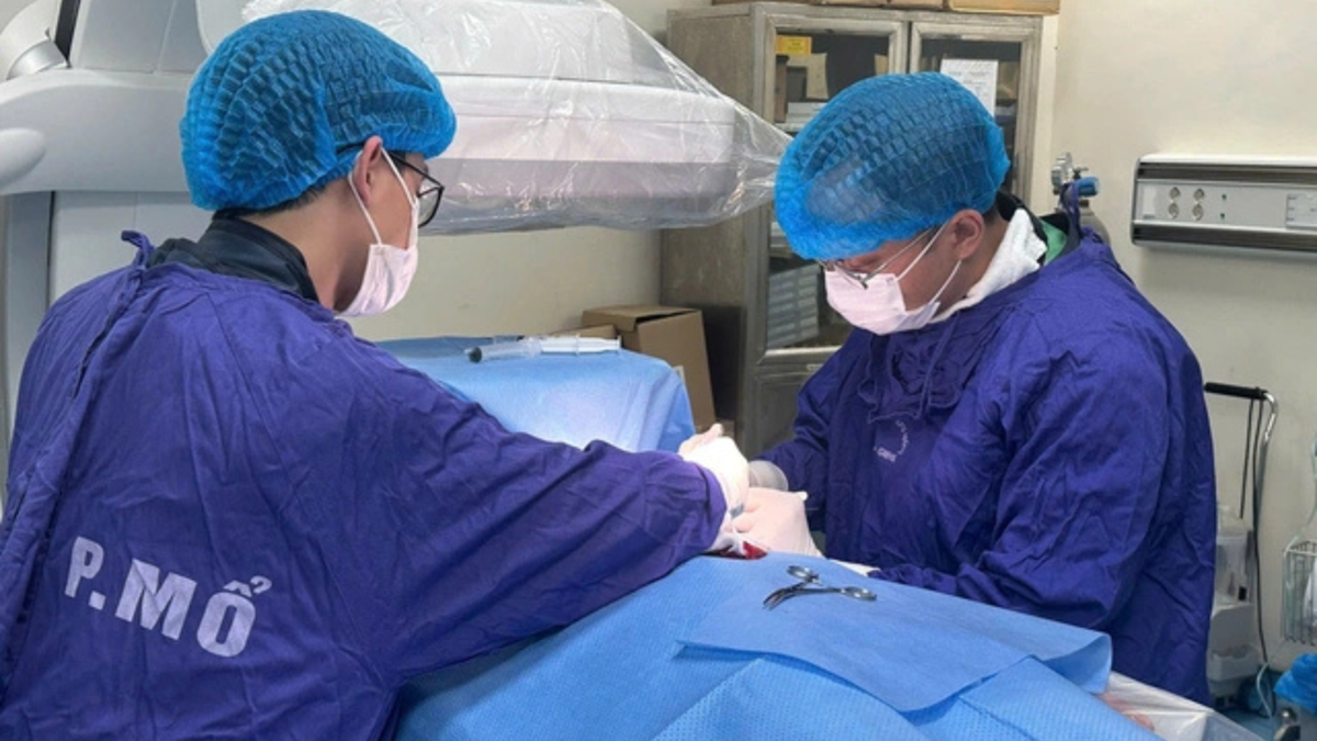 Bệnh cơ tim phì đại - “sát thủ thầm lặng” có thể gây đột tử- Ảnh 1.