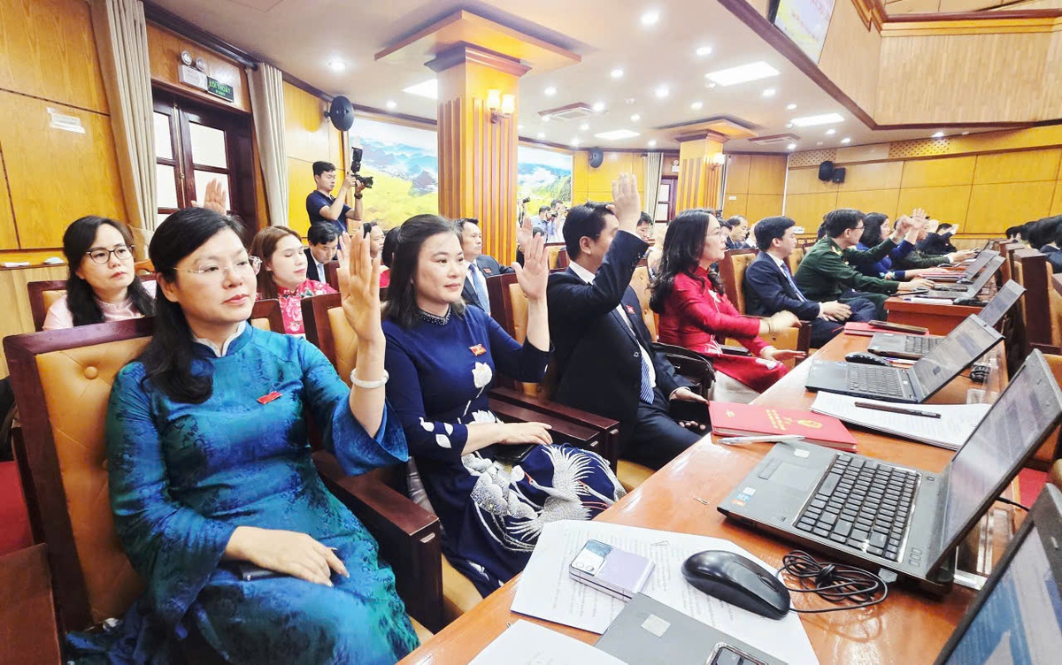 Bà Đoàn Thị Hậu được bầu làm Chủ tịch HĐND tỉnh Lạng Sơn khóa XVIII- Ảnh 9.