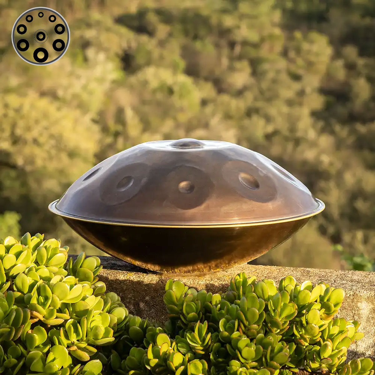 Duyên chơi trống handpan của thầy giáo dạy Yoga- Ảnh 2.