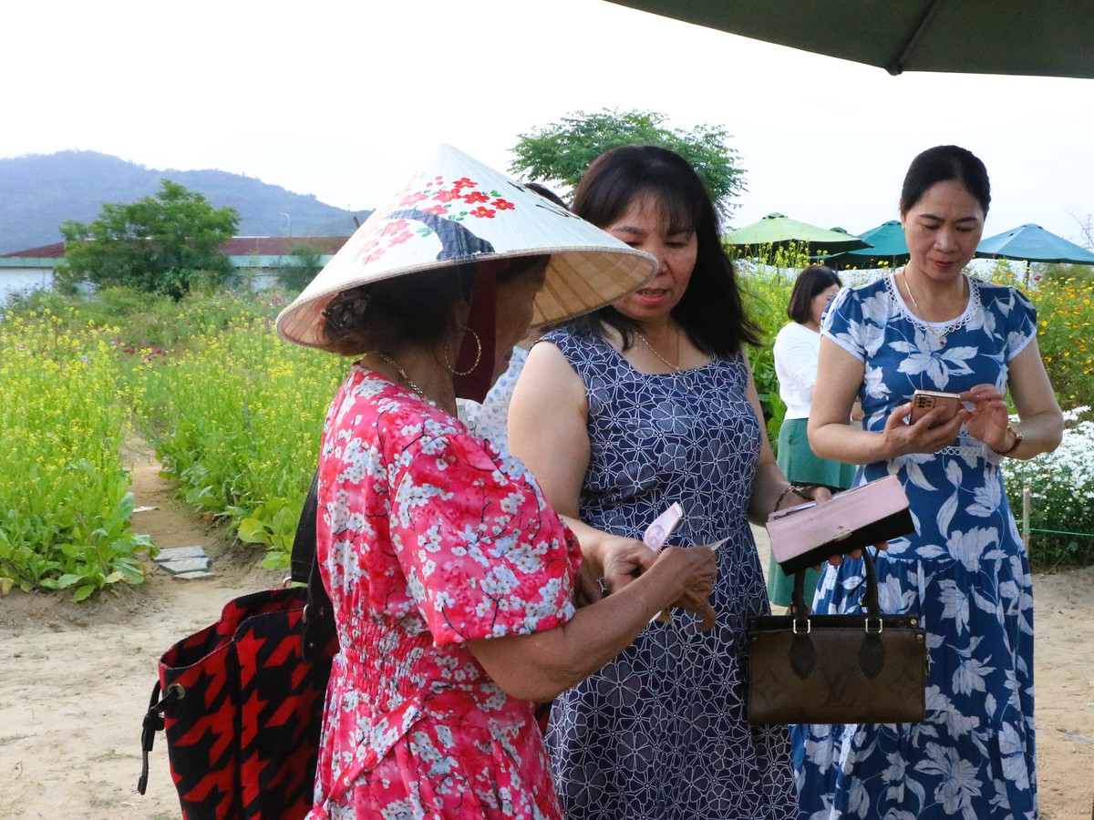 Cúc họa mi nở giữa phố biển, “ươm” sinh kế cho phụ nữ Đà Nẵng- Ảnh 11. Cúc họa mi nở giữa phố biển, “ươm” sinh kế cho phụ nữ Đà Nẵng- Ảnh 11.