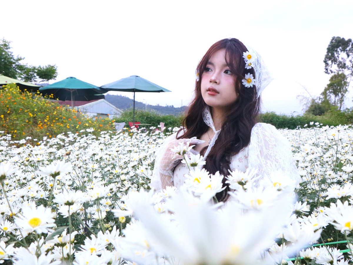 Cúc họa mi nở giữa phố biển, “ươm” sinh kế cho phụ nữ Đà Nẵng- Ảnh 6. Cúc họa mi nở giữa phố biển, “ươm” sinh kế cho phụ nữ Đà Nẵng- Ảnh 6.